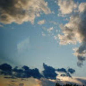 Meet your Posher, Lily